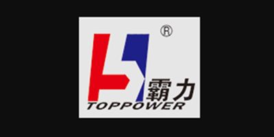 Laizhou City Toppower Petroleum Machinery Co., Ltd.