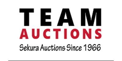 Team Auctions